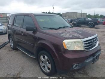  Salvage Honda Pilot