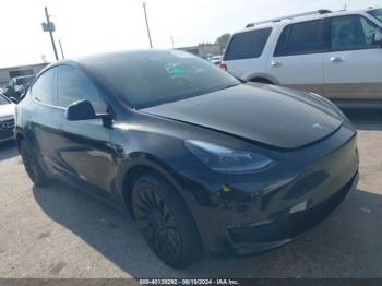  Salvage Tesla Model Y