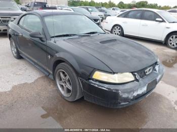  Salvage Ford Mustang