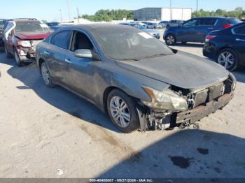  Salvage Nissan Maxima