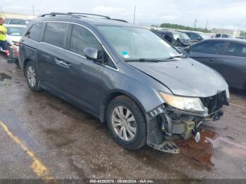  Salvage Honda Odyssey