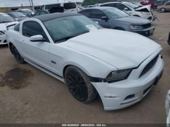  Salvage Ford Mustang