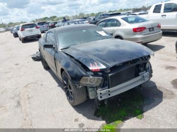  Salvage Ford Mustang