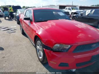  Salvage Ford Mustang