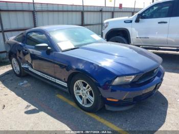  Salvage Ford Mustang