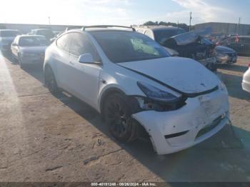  Salvage Tesla Model Y