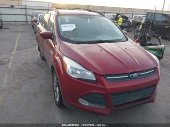  Salvage Ford Escape