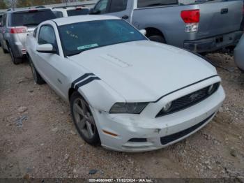  Salvage Ford Mustang