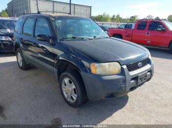  Salvage Ford Escape