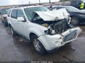  Salvage Ford Escape