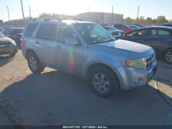  Salvage Ford Escape