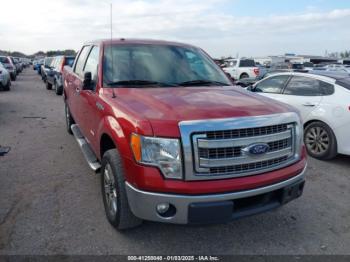  Salvage Ford F-150