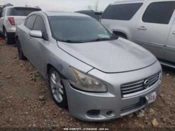  Salvage Nissan Maxima