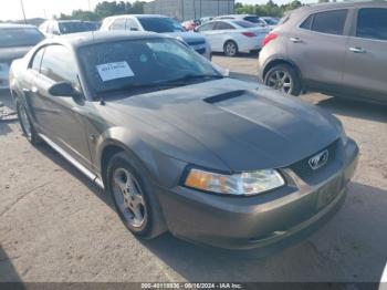  Salvage Ford Mustang