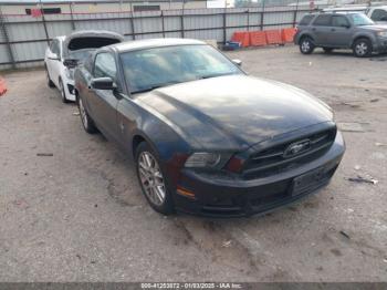  Salvage Ford Mustang