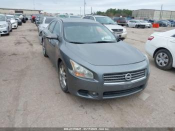  Salvage Nissan Maxima