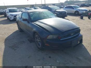  Salvage Ford Mustang