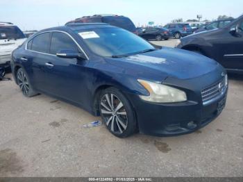  Salvage Nissan Maxima