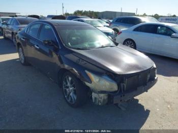  Salvage Nissan Maxima