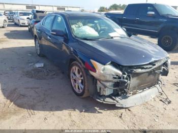  Salvage Nissan Maxima