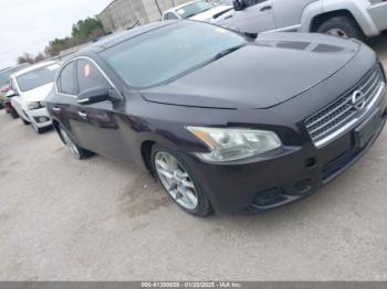  Salvage Nissan Maxima