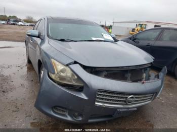  Salvage Nissan Maxima