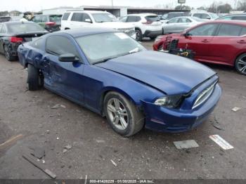  Salvage Ford Mustang