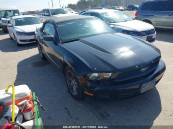  Salvage Ford Mustang