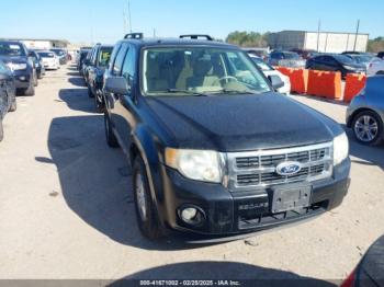  Salvage Ford Escape