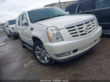  Salvage Cadillac Escalade