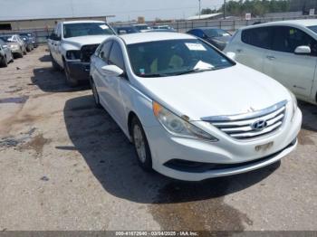  Salvage Hyundai SONATA