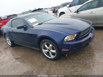  Salvage Ford Mustang