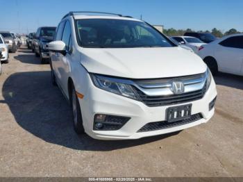  Salvage Honda Odyssey