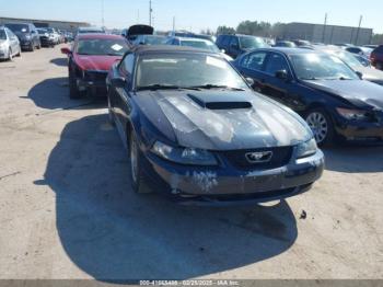  Salvage Ford Mustang