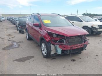  Salvage Ford Escape