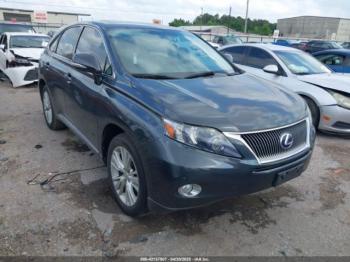  Salvage Lexus RX
