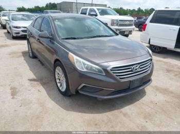  Salvage Hyundai SONATA