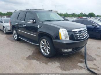  Salvage Cadillac Escalade