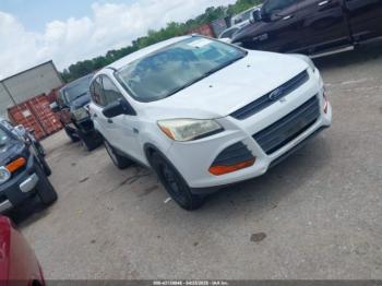  Salvage Ford Escape