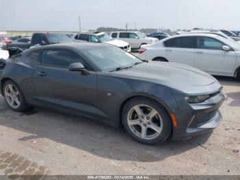  Salvage Chevrolet Camaro