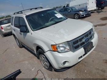  Salvage Ford Escape