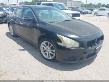  Salvage Nissan Maxima