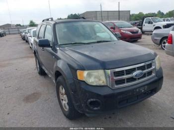  Salvage Ford Escape