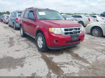  Salvage Ford Escape
