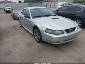  Salvage Ford Mustang