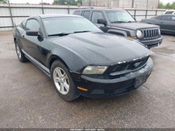  Salvage Ford Mustang