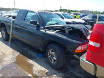  Salvage Dodge Dakota