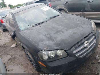  Salvage Nissan Maxima
