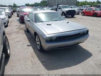  Salvage Dodge Challenger