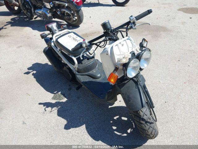  Salvage Honda Nps50